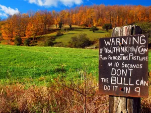 "Warning Signs"
