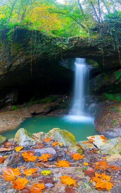 Serene Forest Cascade