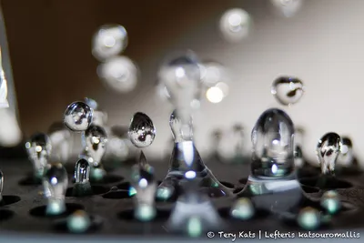 Bubbles in motion