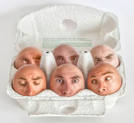 Five fake eggs