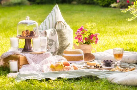 Picnic in the Park