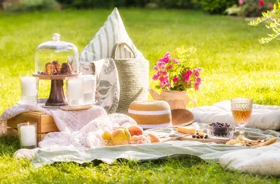 Picnic in the Park
