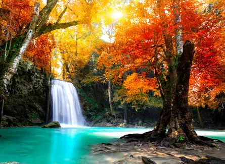 Waterfall Fall Hike