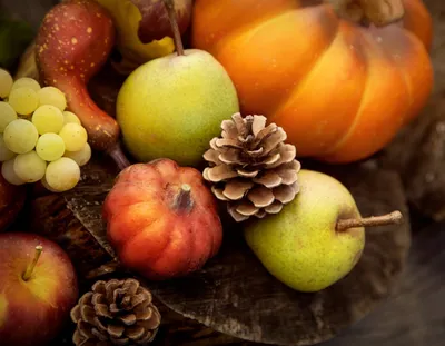 Autumn Harvest