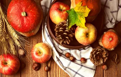 Autumn Harvest Collection