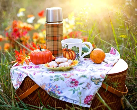 Autumn Picnic