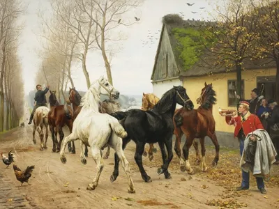 People riding horses, man feeding birds