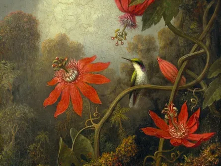 Red flowers with hummingbirds