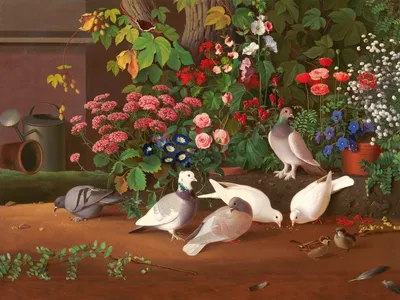 10 birds in garden