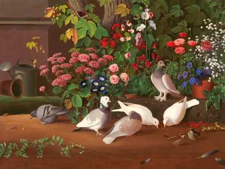 10 birds in garden
