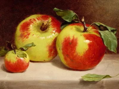 Three ripe apples
