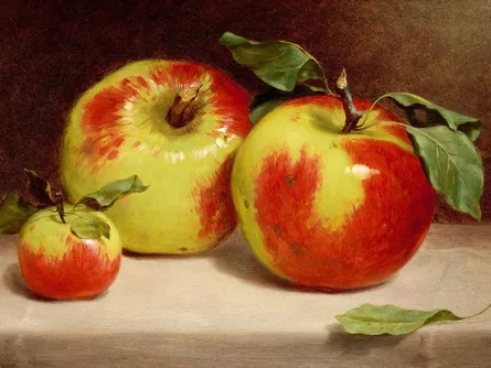 Three ripe apples