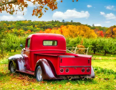 Vintage Truck in Fall