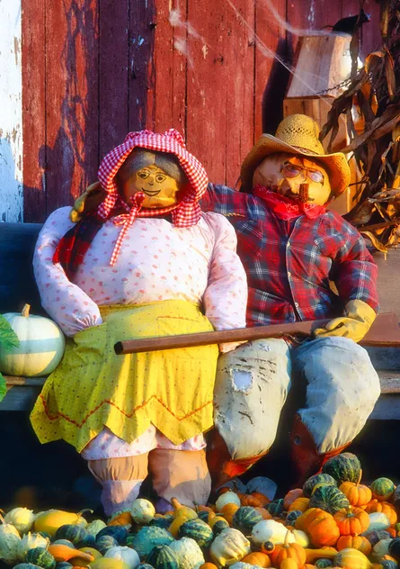 Scarecrow Couple