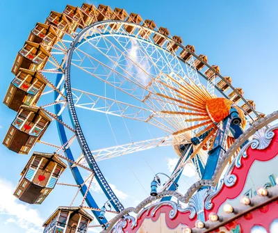 Amusement Park Ride