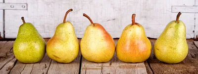 Six Pears of Various Stages of Ripeness