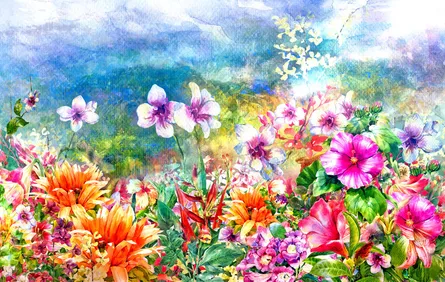 Flower Field Vista