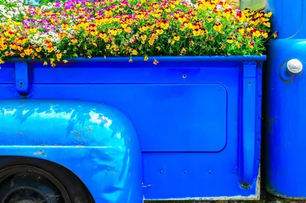 Flower box on truck