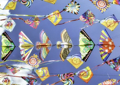 Colorful Kites in Sky