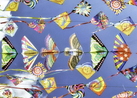 Flying kites 89 34