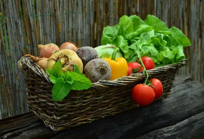 Fresh vegetables in basket