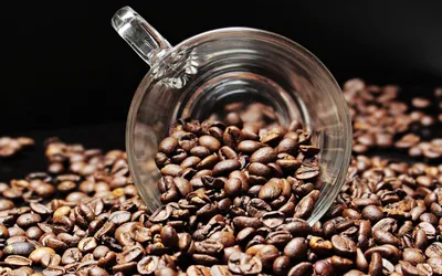 Unlock the Mystery of the Coffee Bean