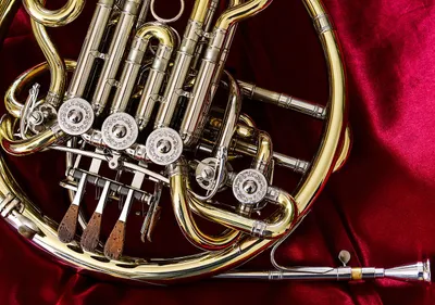 "Brass Horn Instrument Display"