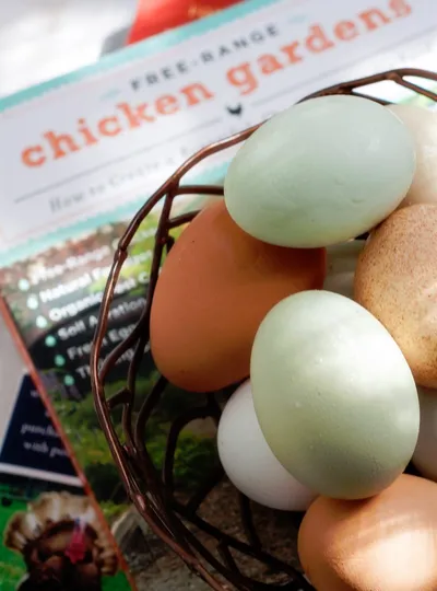 Farm Eggs