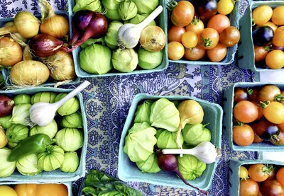 Market Fresh Produce