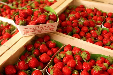 Strawberries in crate
