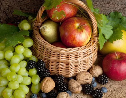 Fruit and nuts 682 280