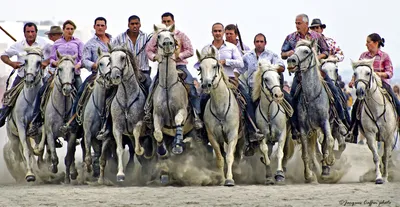 Men on horses in formation