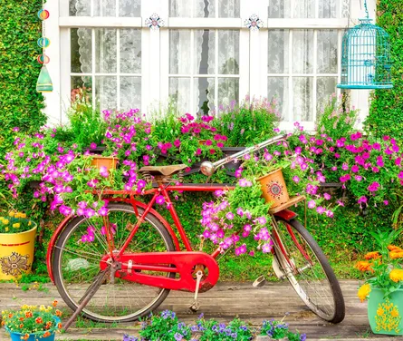 Red bicycle with basket and plants