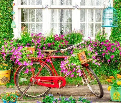 Red bicycle with basket and plants