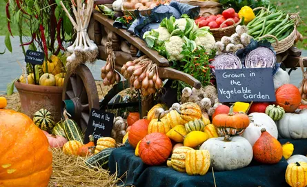 Farmers Market Produce