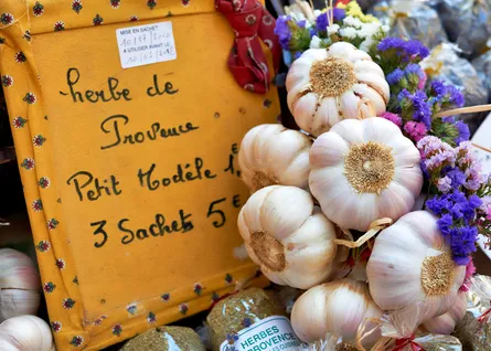 Garlic on display