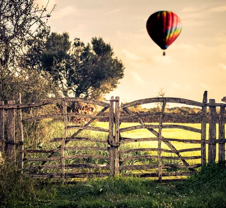 Gate and balloon 158 054