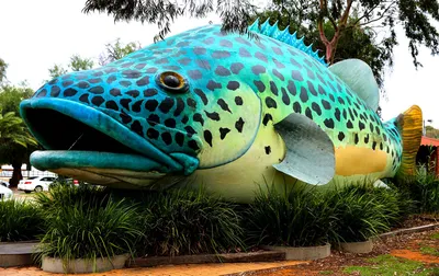 Giant Fish Display in Park