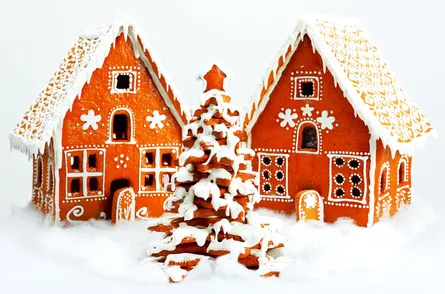 Orange houses with snow