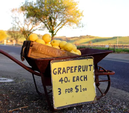 Grumpy sign grapes lemon truck