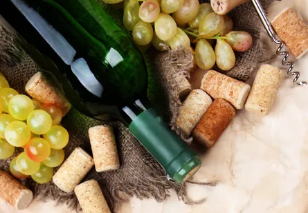 Grapes and wine 682 340