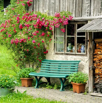 Small, old cottage with flowers