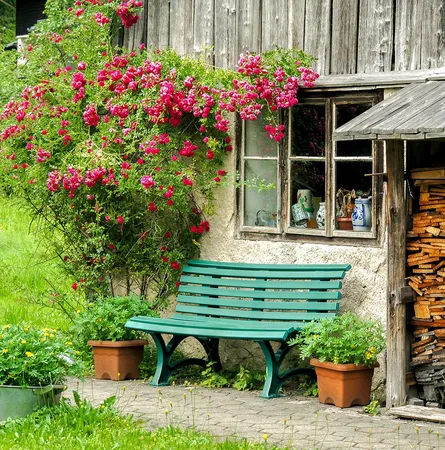 Small, old cottage with flowers