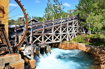 Grizzly river run 89 41