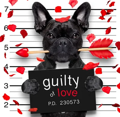 Guilty Love Dog Puzzle