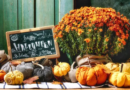 Fall Harvest Decoration