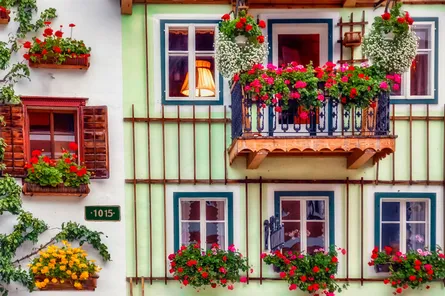 Colorful houses with potted plants, red flowers, and green shutters