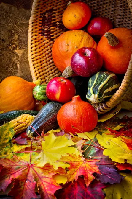 Basket of fall fruits