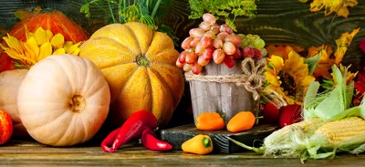 Seasonal Bounty