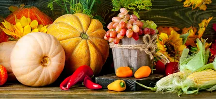 Seasonal Bounty